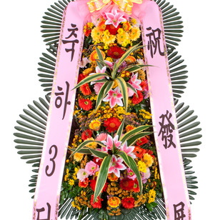 축하3단 234