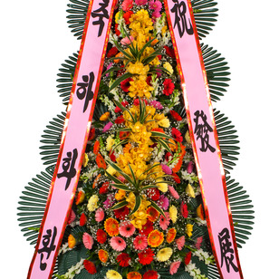 축하4단 DD