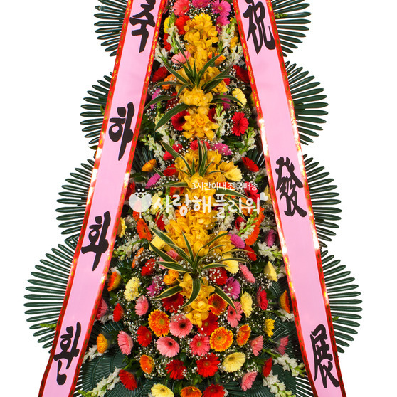 축하4단 DD