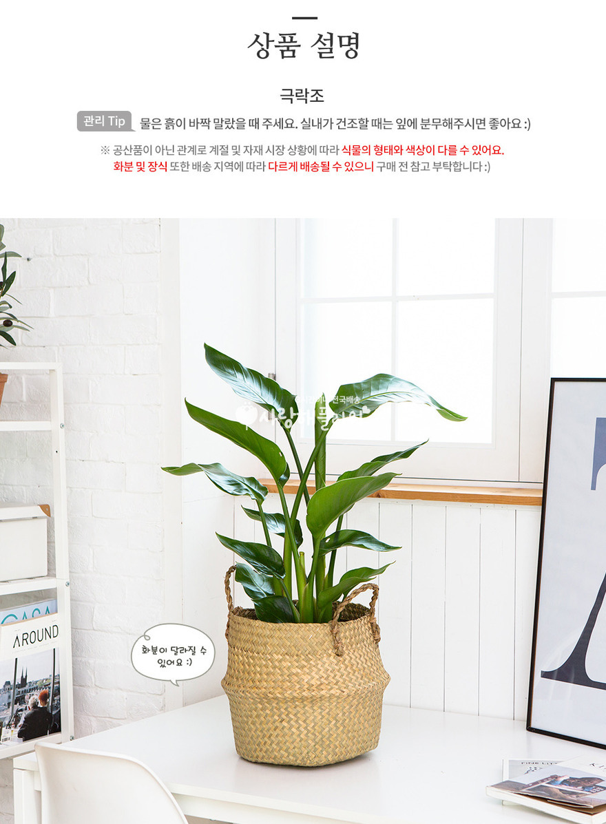 상세이미지