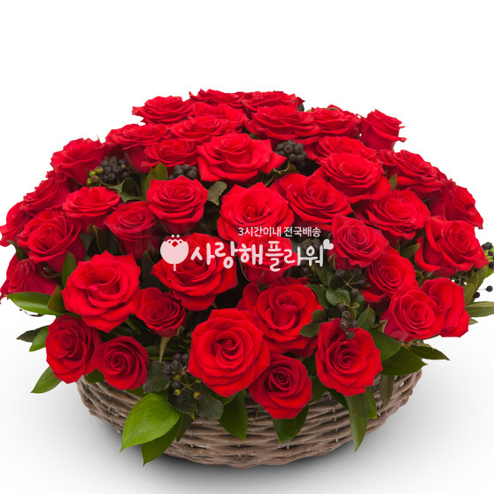 레드장미바구니