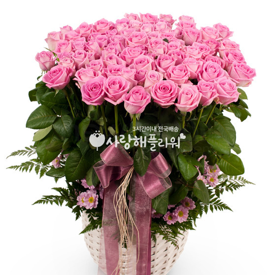 아침같은 사랑(100송이)