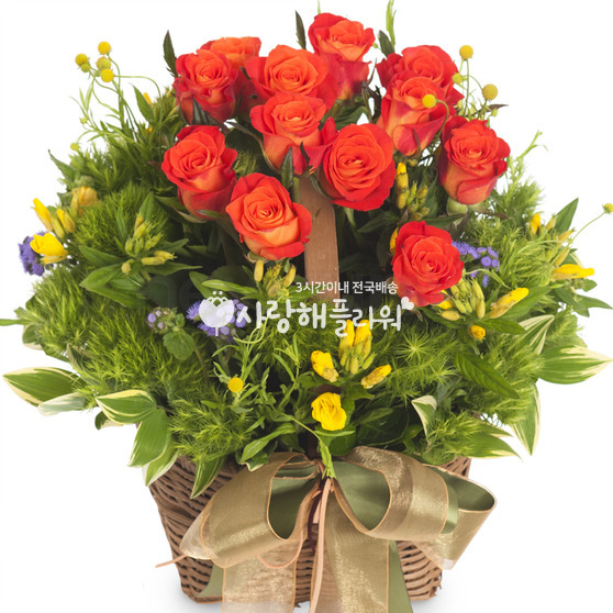 순수한 사랑