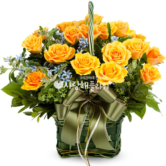 엘로 205호