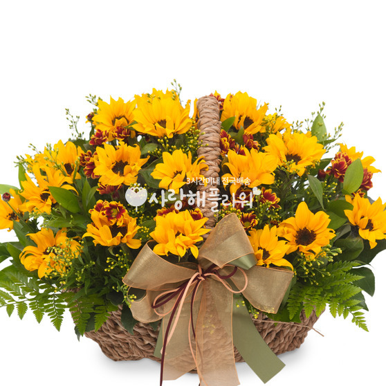 해바라기4
