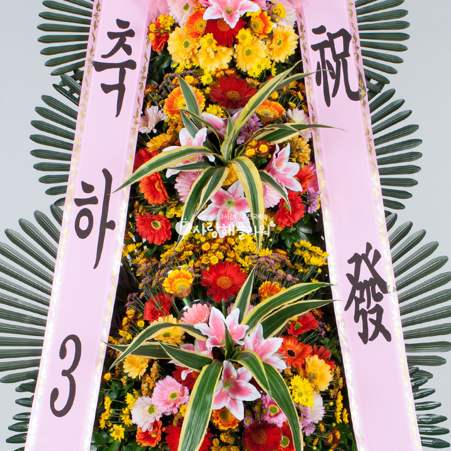 상세이미지