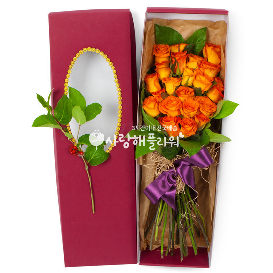 보금자리가되어줄께요