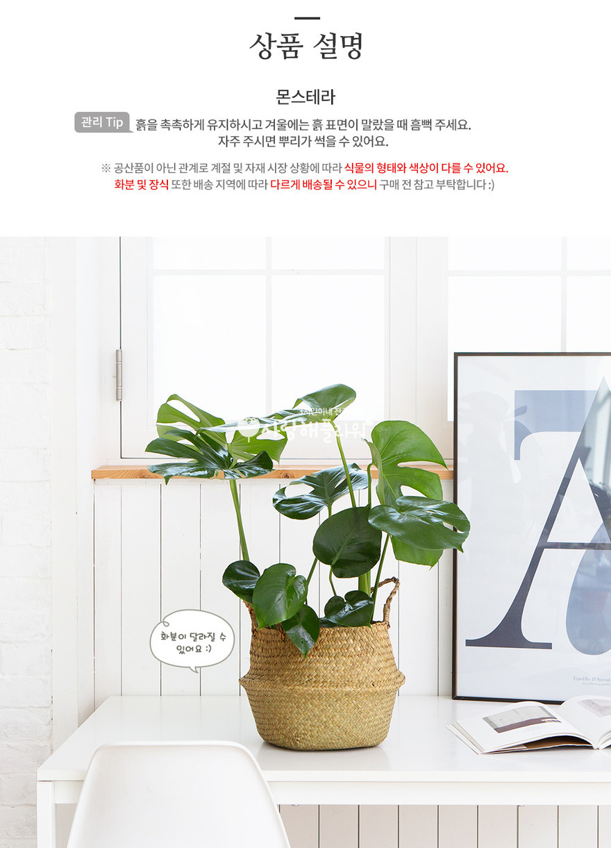 상세이미지