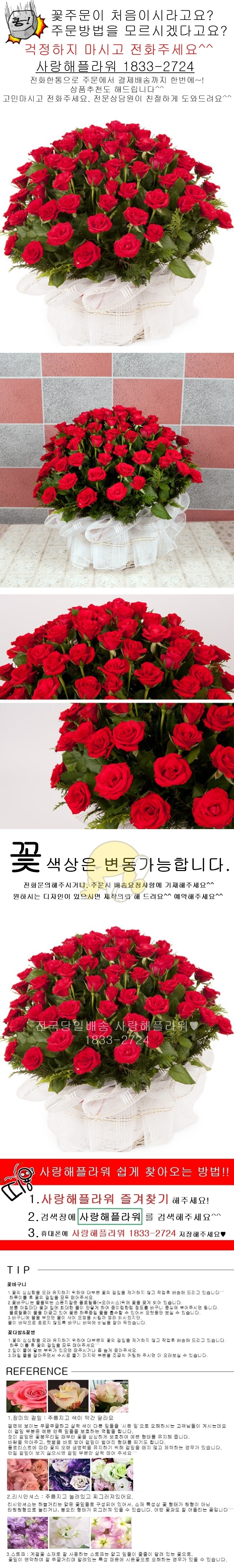 상세이미지