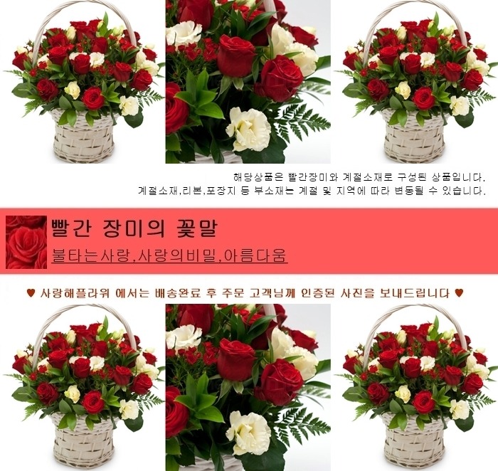 상세이미지