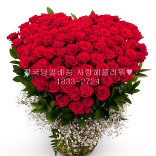 100송이 레드빛 사랑