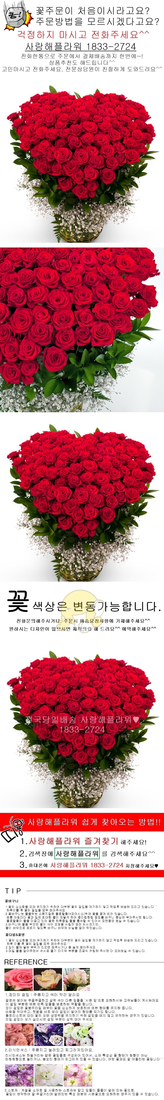 상세이미지