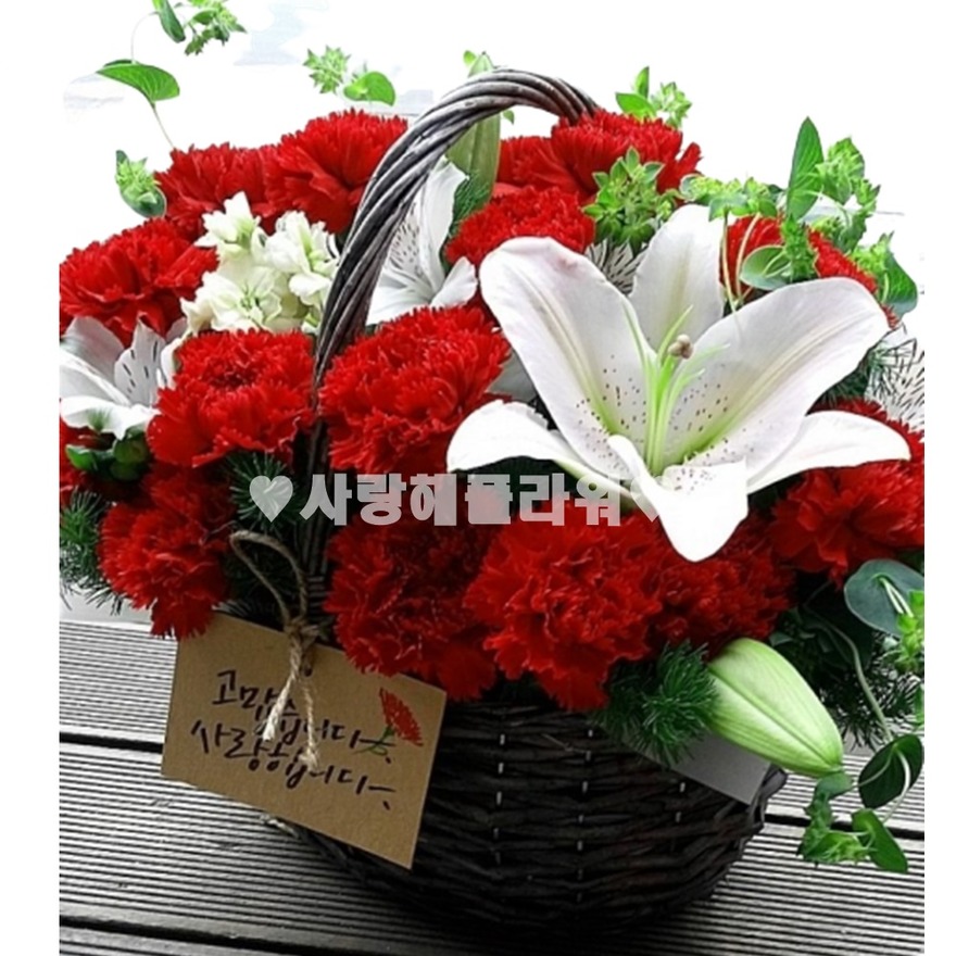 상세이미지