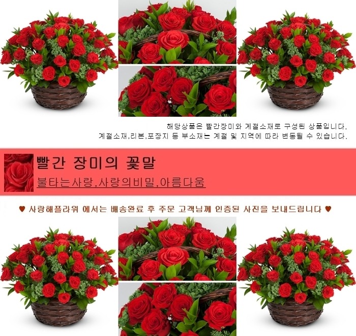 상세이미지