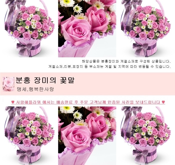 상세이미지