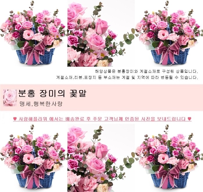 상세이미지