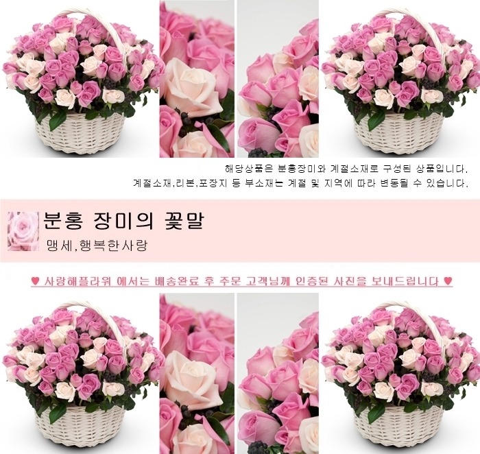 상세이미지