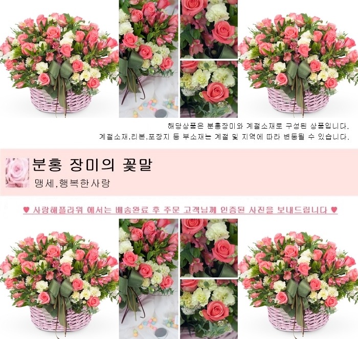 상세이미지