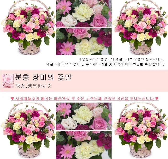 상세이미지