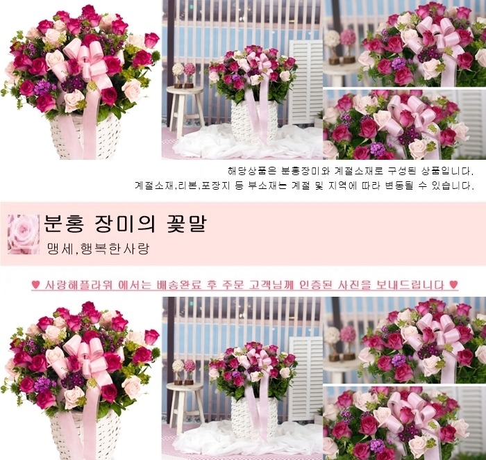상세이미지