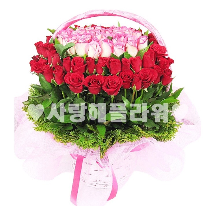 상세이미지