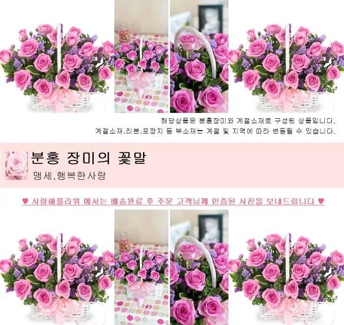 상세이미지