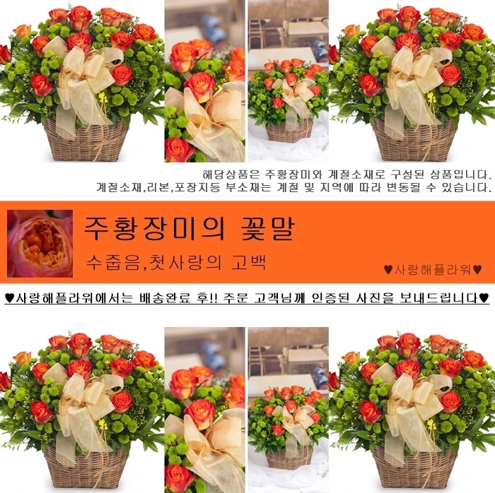 상세이미지