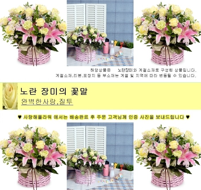 상세이미지