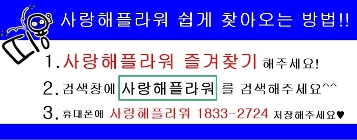 상세이미지