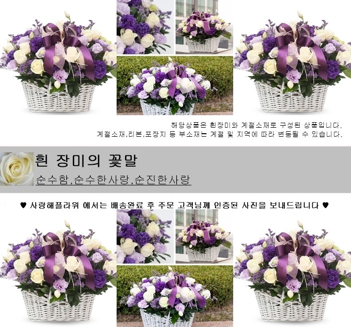 상세이미지