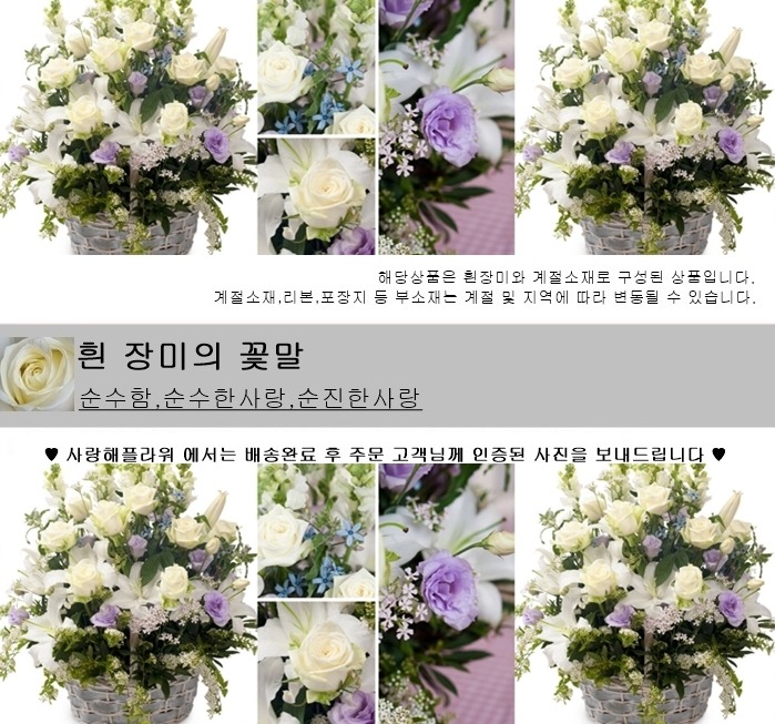상세이미지