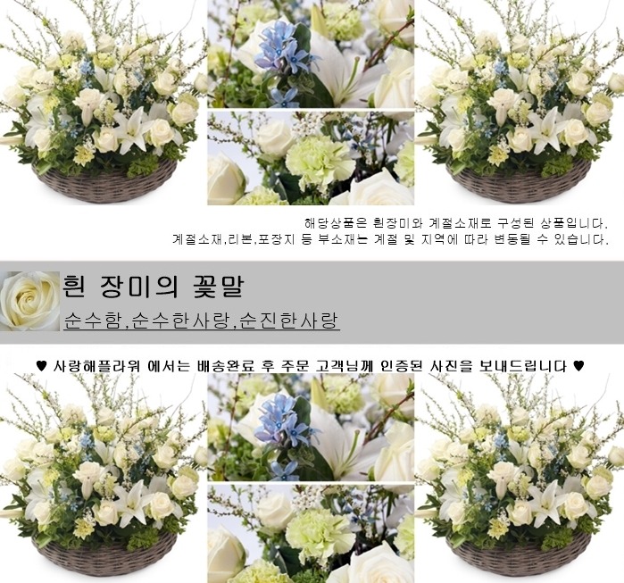 상세이미지