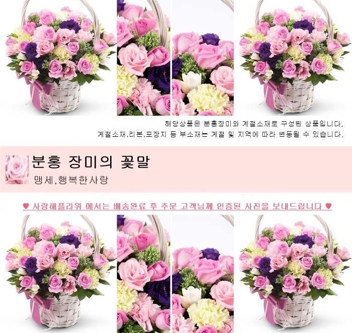 상세이미지