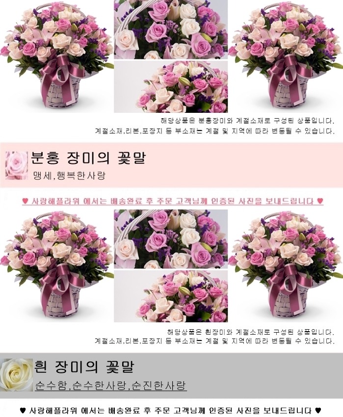상세이미지