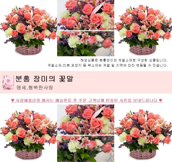 상세이미지