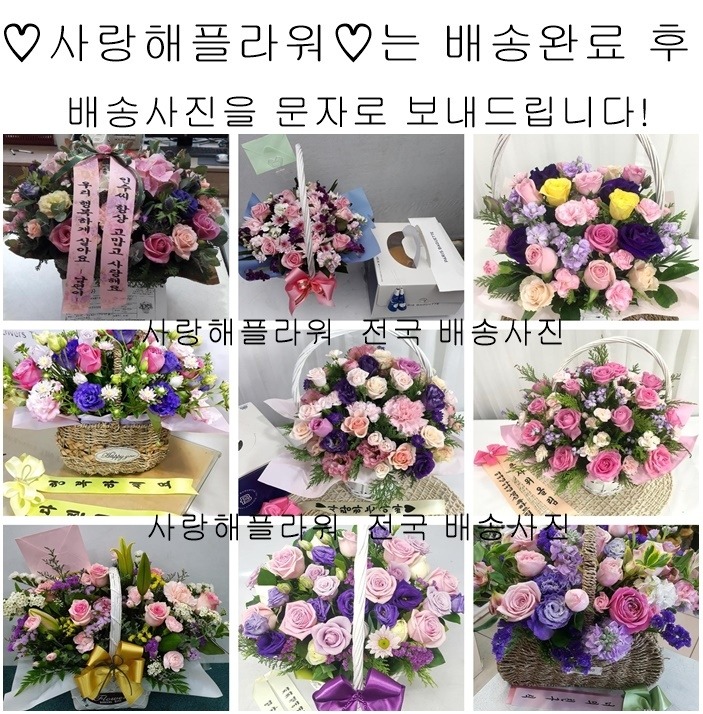 상세이미지