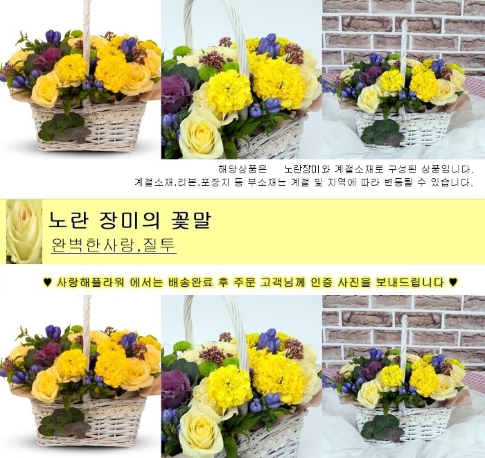 상세이미지
