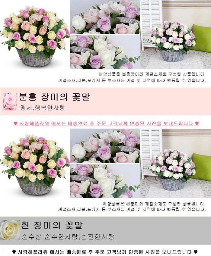 상세이미지