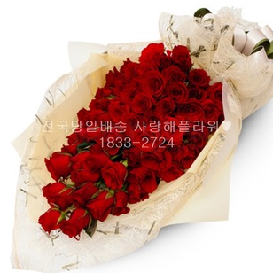 꽃누리104호 (100송이)