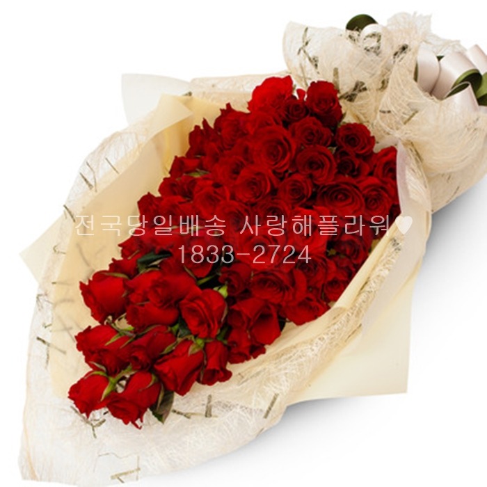 상세이미지