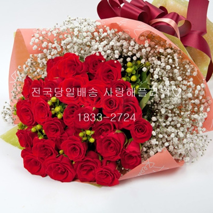 상세이미지