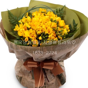 스마일 후리지아(봄 한정상품)