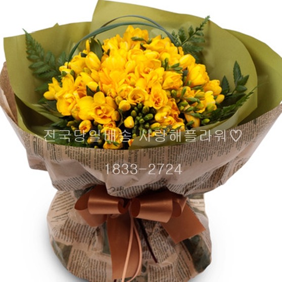 스마일 후리지아(봄 한정상품)