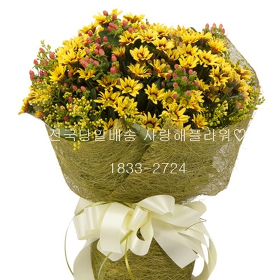 꿀벌의부름