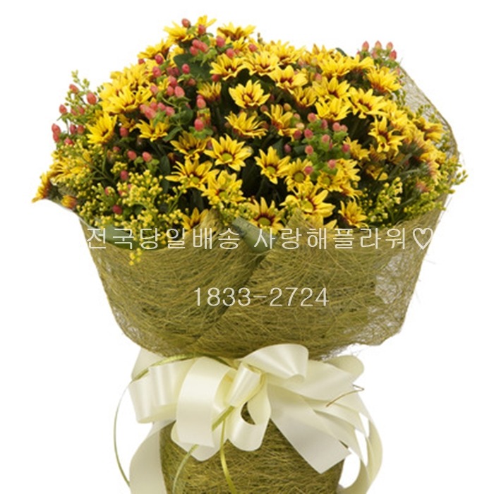 상세이미지