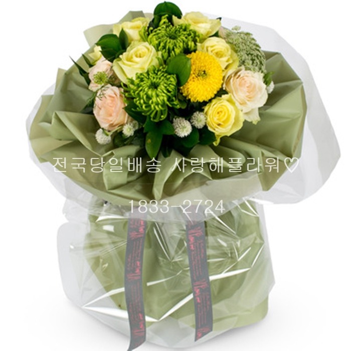 상세이미지