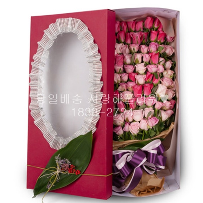 상세이미지