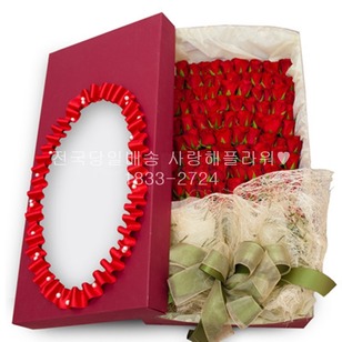 100송이 꽃상자 665