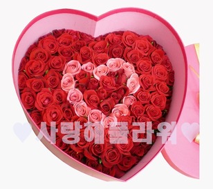 속마음80/90/100송이