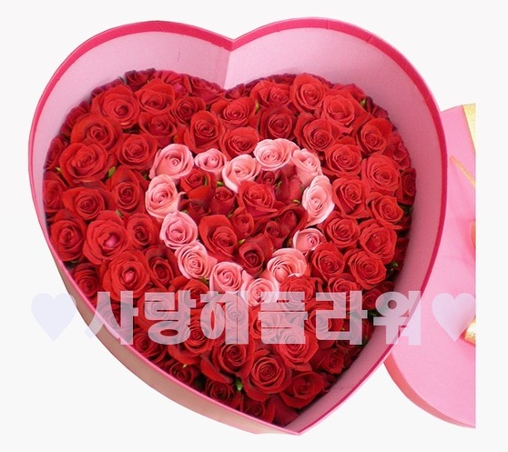 속마음80/90/100송이